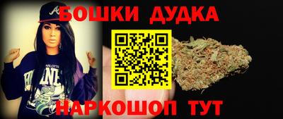 индика Партизанск