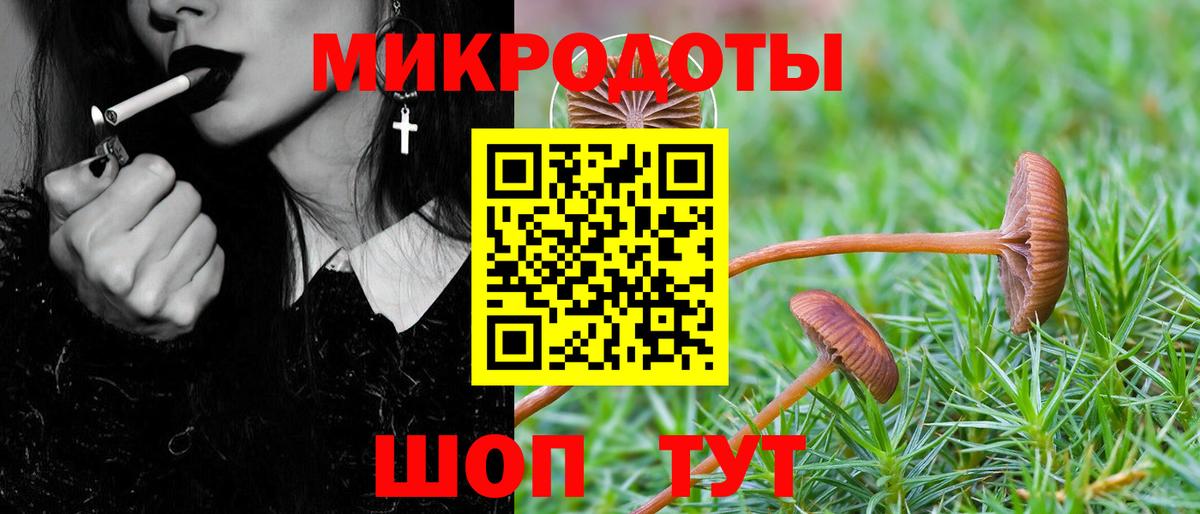 Галлюциногенные грибы мицелий  Вход с VPN  Прохладный 