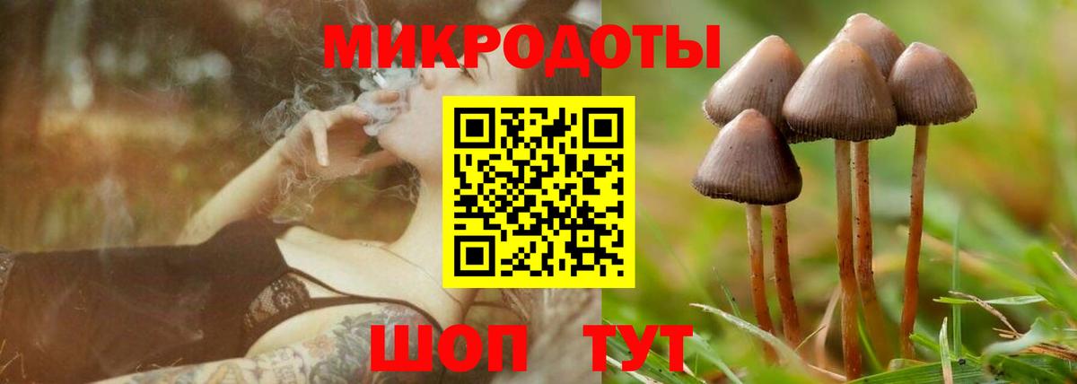 Псилоцибиновые грибы мухоморы Прохладный