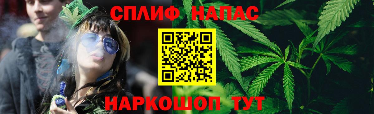 Бошки Шишки SATIVA & INDICA  Вход с VPN  Прохладный  Каннабис план  Канабис Bruce Banner 